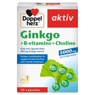 Doppelherz aktiv Ginkgo front view